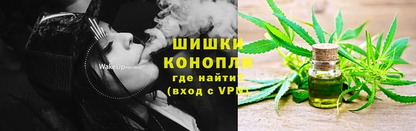 шишки Корсаков