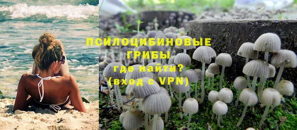 первитин Козловка