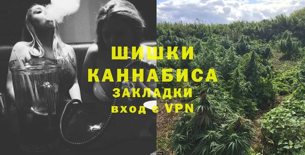 мдпв Козельск
