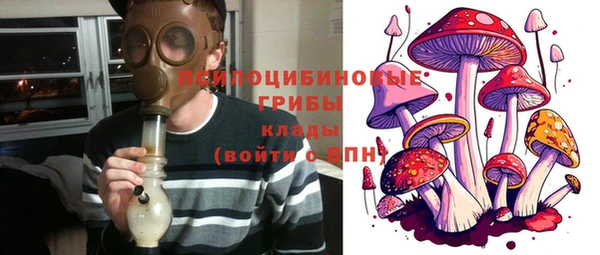ПСИЛОЦИБИНОВЫЕ ГРИБЫ Кинешма