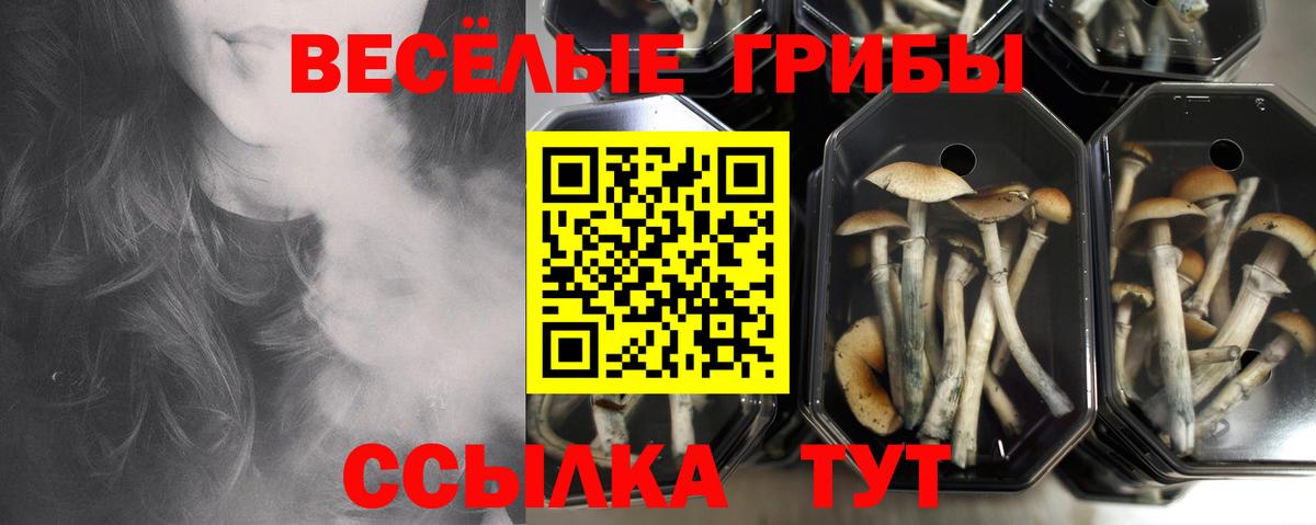 Галлюциногенные грибы мухоморы  Вход с VPN  Галлюциногенные грибы GOLDEN TEACHER  цены наркотик  Кохма 